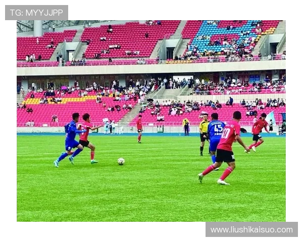 激情赛场燃动青春全民共赏体育盛宴见证荣耀时刻