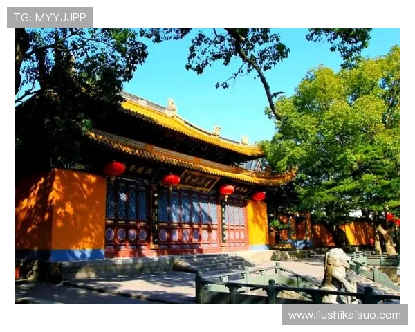 跳水运动的魅力与挑战:从入门技巧到奥运巅峰的全方位探索