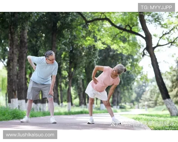 全面解析运动锻炼对身体健康的益处