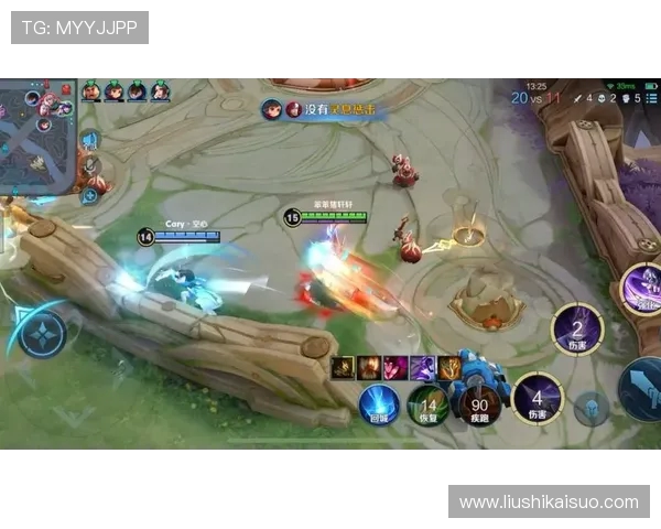 专访刘伟：探寻王者荣耀背后的成功秘诀与发展策略