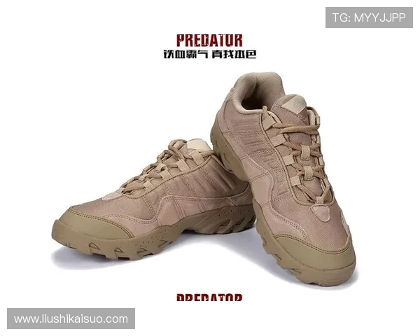 南京攀岩队的反击体系与攀岩战术的深度解析与应用探讨