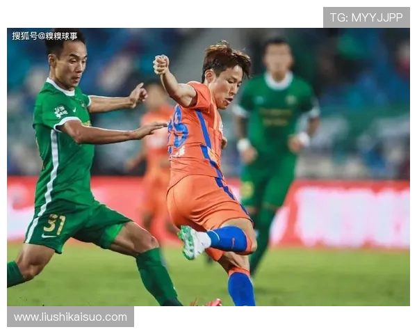 深圳排球队战术引发热议球迷与专家各抒己见探讨未来发展方向