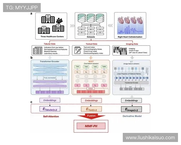 深圳极限运动队力量表现数据分析揭示运动员潜力与训练效果的深度关系