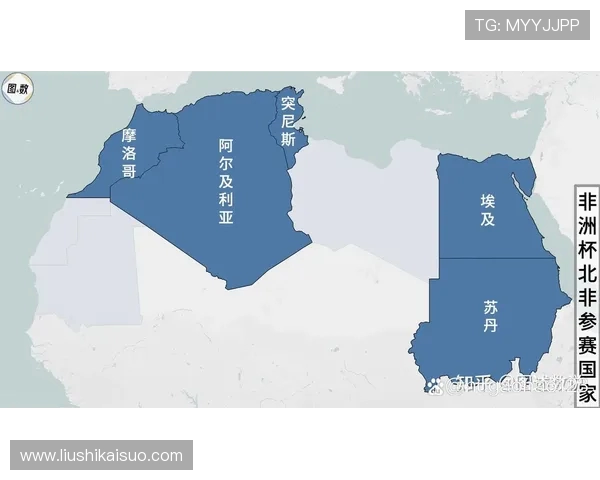 埃及与突尼斯的较量结果揭晓谁将赢得这场激烈对决