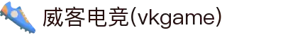 威客电竞(vkgame)-为竞技而生